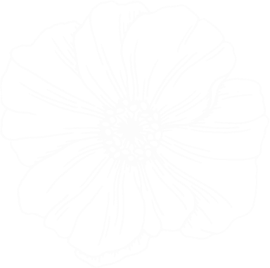 Fleur décorative zen sophrologie